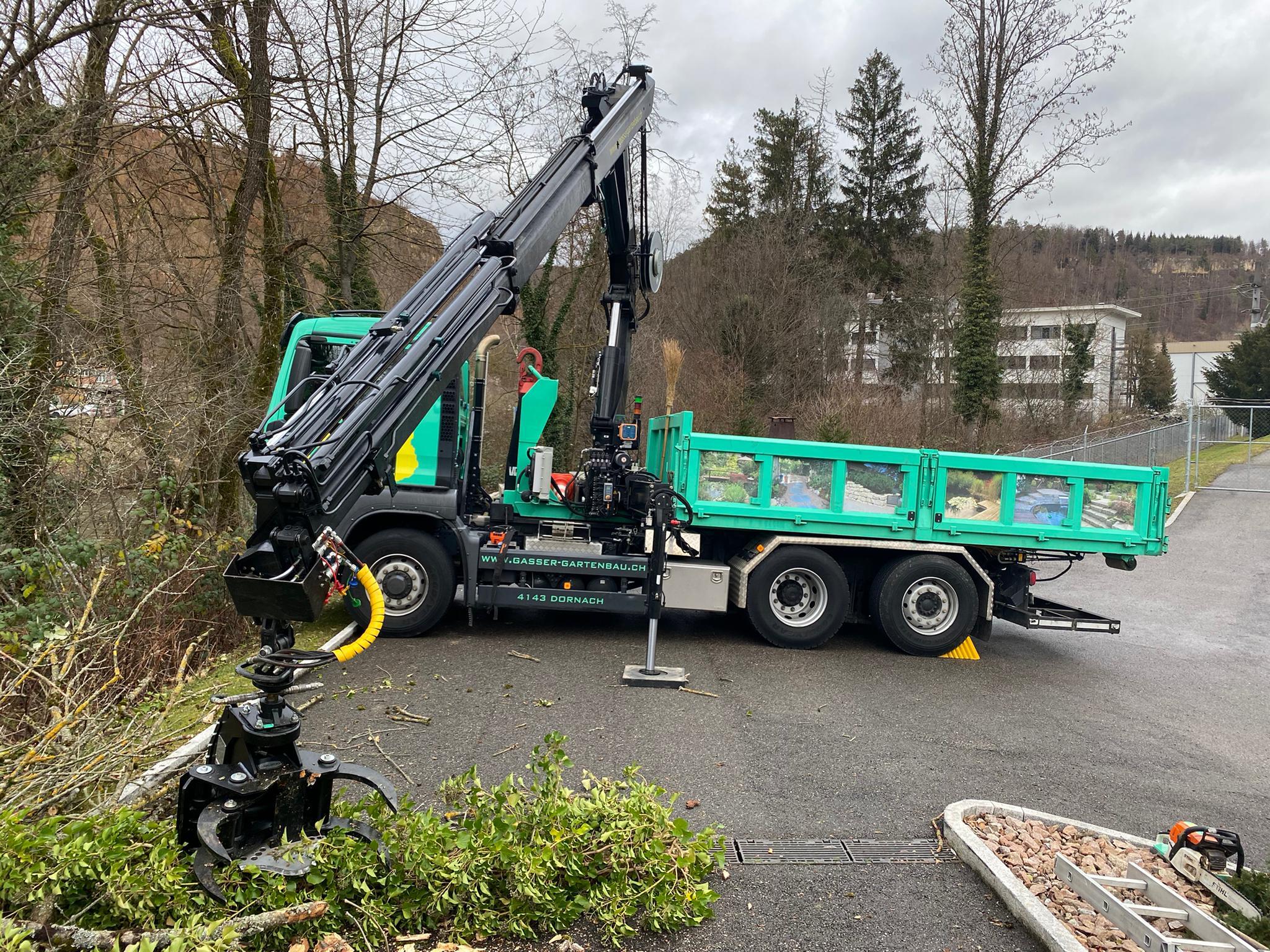 Gartenbau Gasser Baumpflege.jpeg